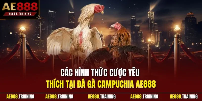 Các hình thức cược yêu thích tại đá gà Campuchia AE888
