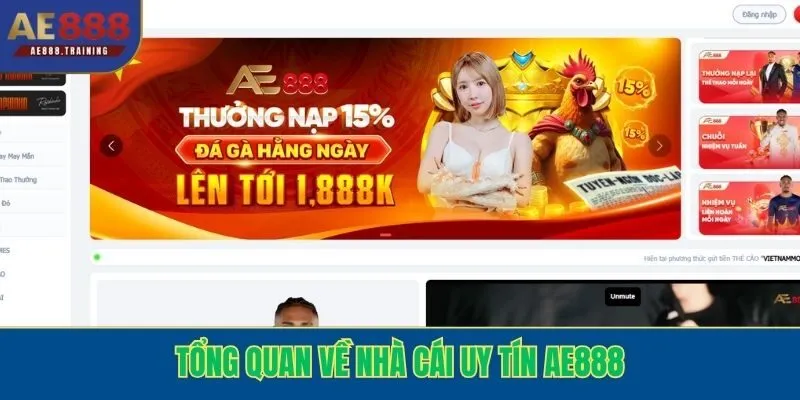 Tổng quan về nhà cái uy tín AE888