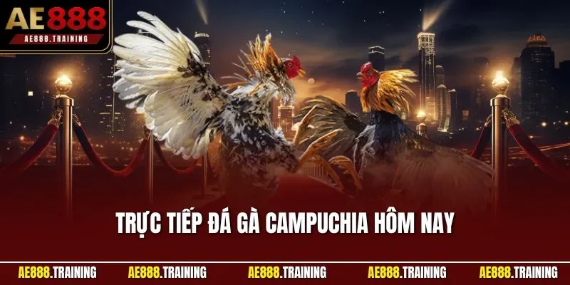 Trực tiếp đá gà campuchia hôm nay