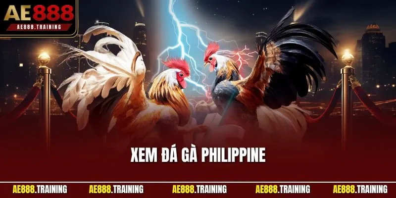 Xem đá gà Philippine